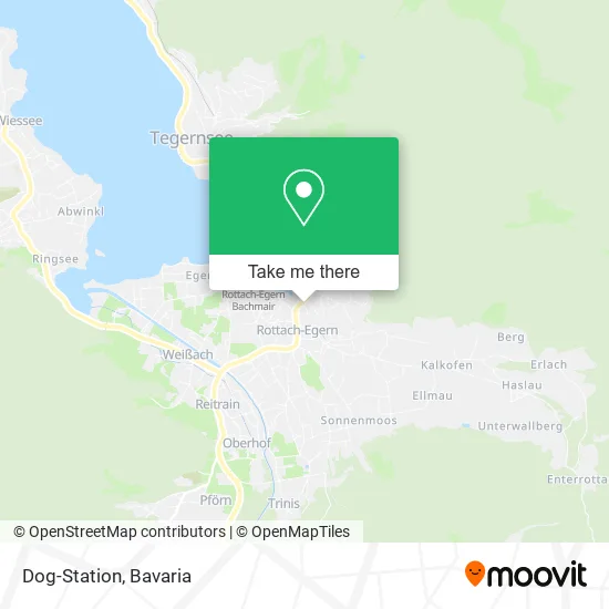 Карта Dog-Station