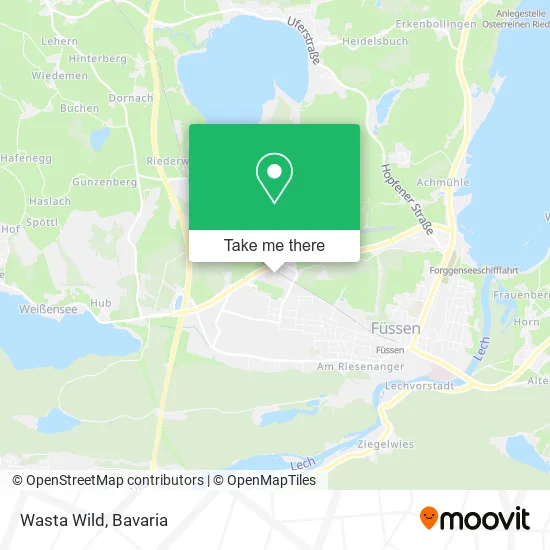 Карта Wasta Wild