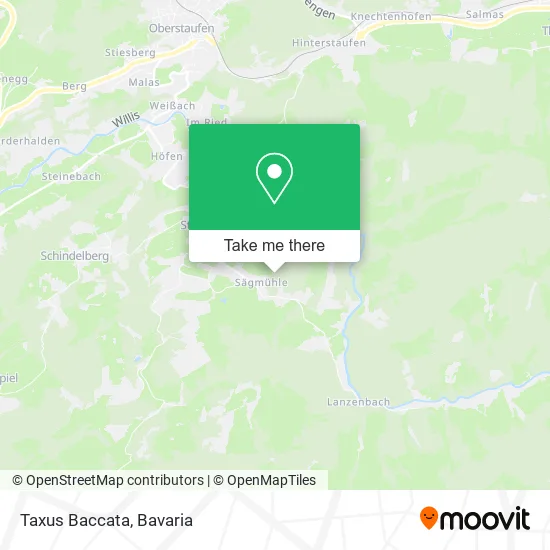 Карта Taxus Baccata
