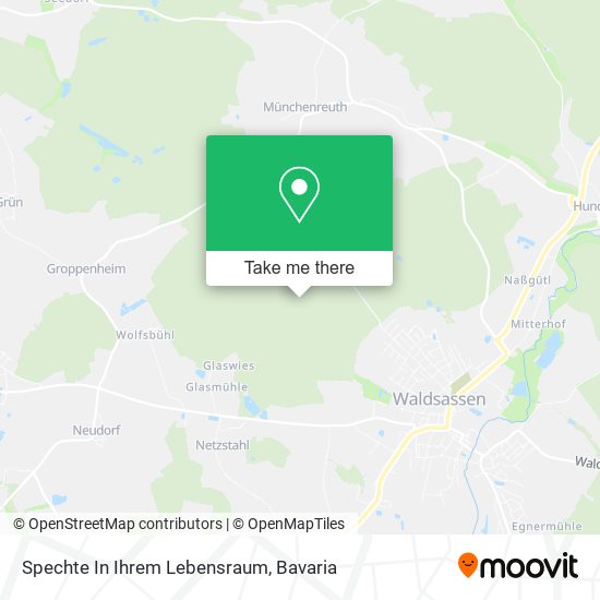 Spechte In Ihrem Lebensraum map