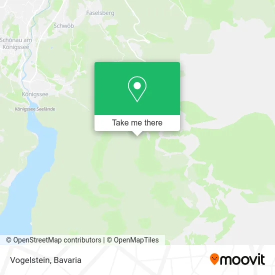 Карта Vogelstein