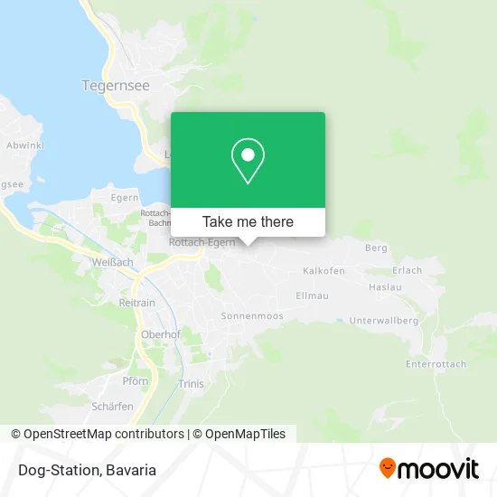 Карта Dog-Station
