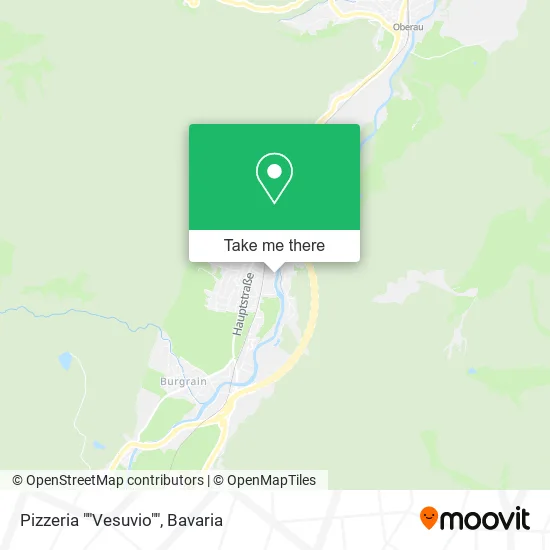 Карта Pizzeria ""Vesuvio""