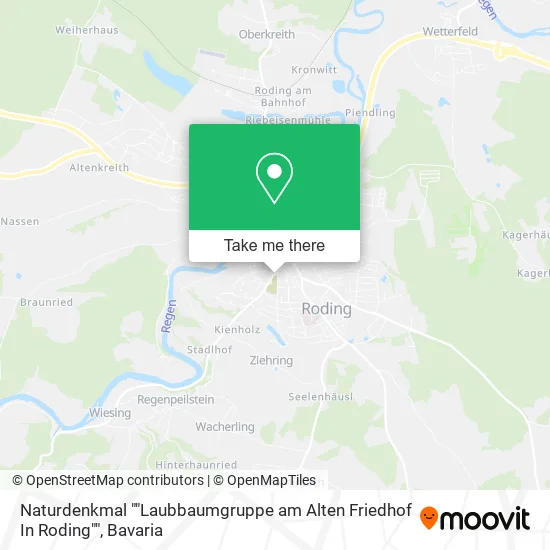 Карта Naturdenkmal ""Laubbaumgruppe am Alten Friedhof In Roding""