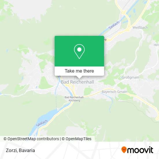 Карта Zorzi