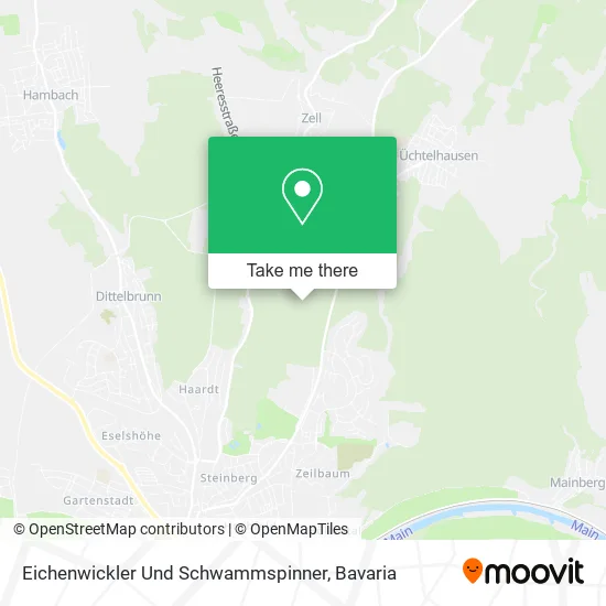 Карта Eichenwickler Und Schwammspinner