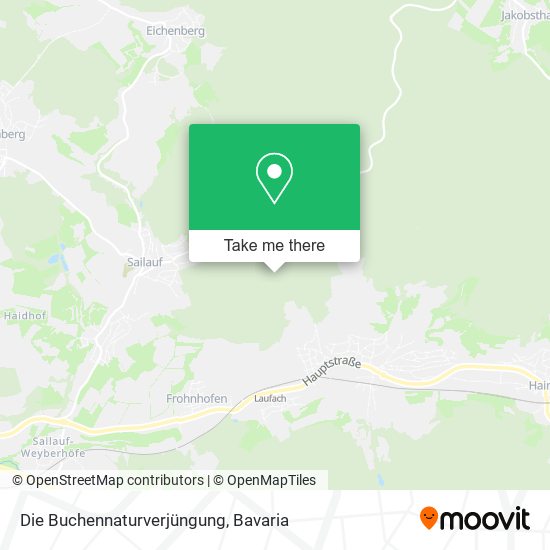 Die Buchennaturverjüngung map