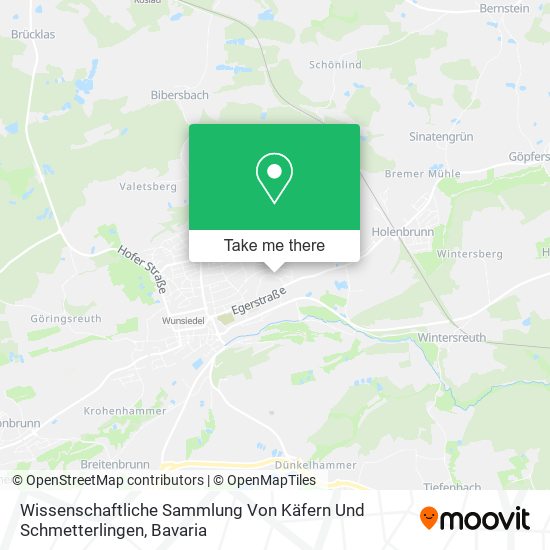 Wissenschaftliche Sammlung Von Käfern Und Schmetterlingen map