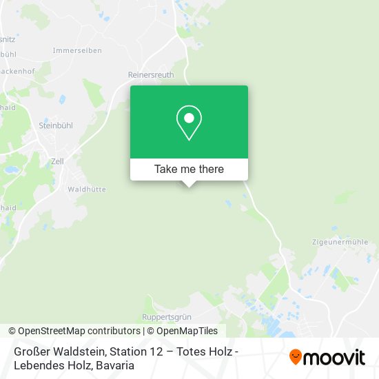 Großer Waldstein, Station 12 – Totes Holz - Lebendes Holz map