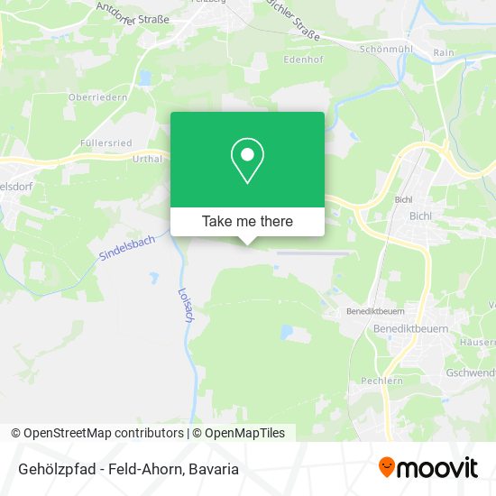 Gehölzpfad - Feld-Ahorn map