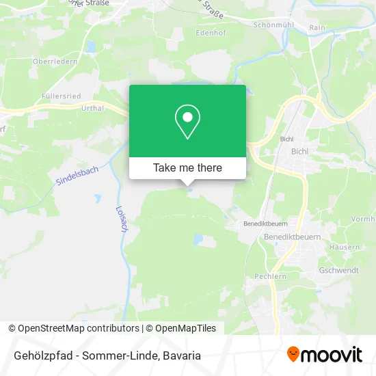 Карта Gehölzpfad - Sommer-Linde