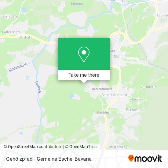 Gehölzpfad - Gemeine Esche map