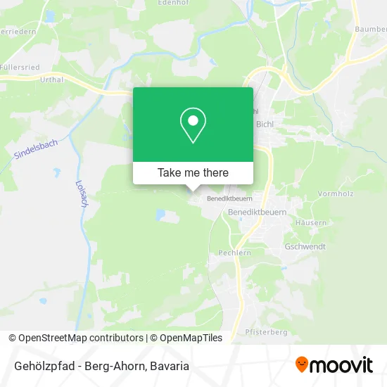 Карта Gehölzpfad - Berg-Ahorn