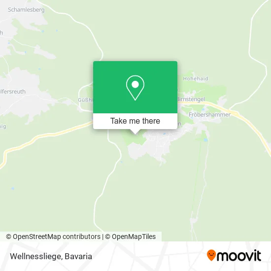 Карта Wellnessliege
