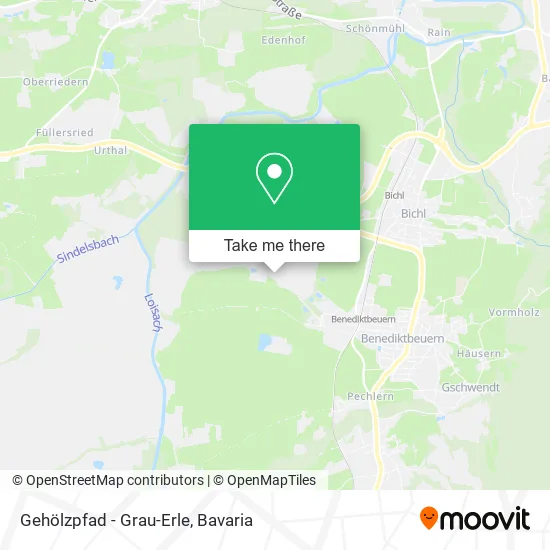 Карта Gehölzpfad - Grau-Erle