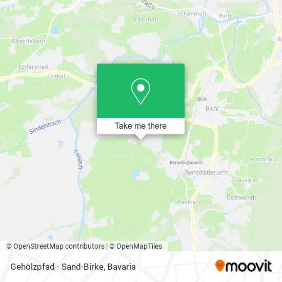 Карта Gehölzpfad - Sand-Birke