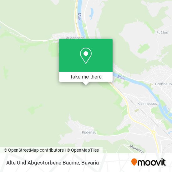 Карта Alte Und Abgestorbene Bäume