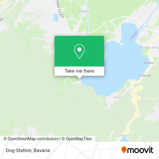 Карта Dog-Station