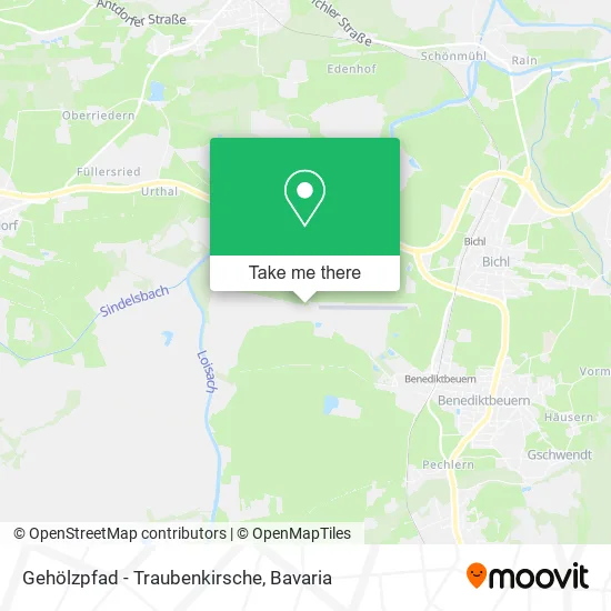 Карта Gehölzpfad - Traubenkirsche