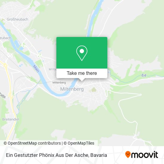 Ein Gestutzter Phönix Aus Der Asche map