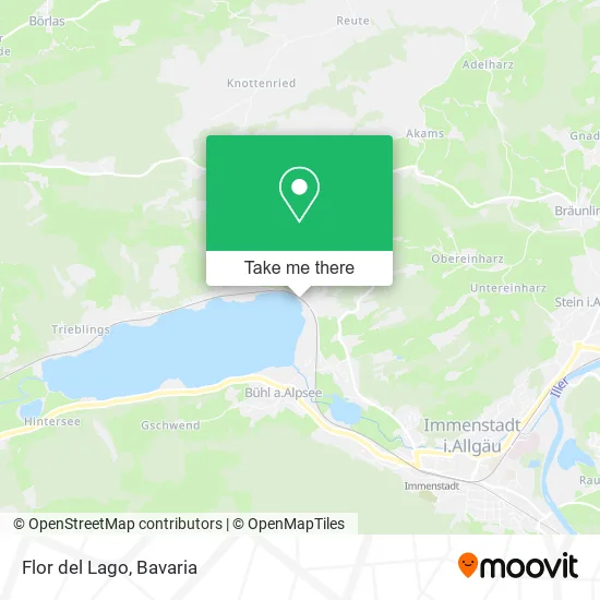Карта Flor del Lago