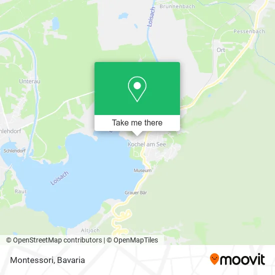 Карта Montessori