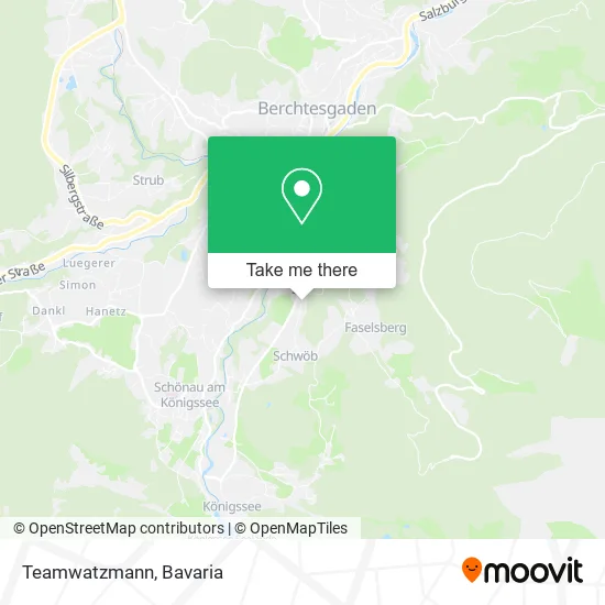 Карта Teamwatzmann