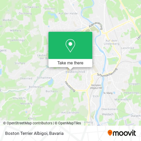 Boston Terrier Albigoi map