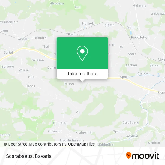 Карта Scarabaeus