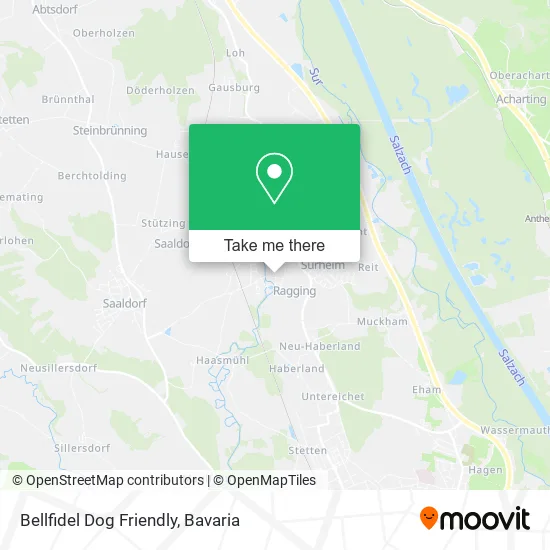 Карта Bellfidel Dog Friendly