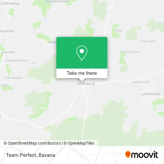 Карта Team Perfect