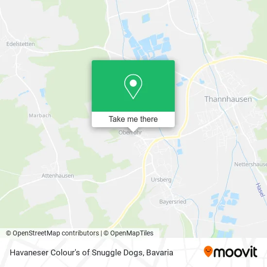 Карта Havaneser Colour's of Snuggle Dogs