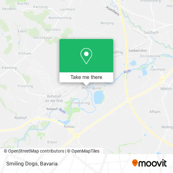 Карта Smiling Dogs