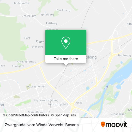 Zwergpudel vom Winde Verweht map