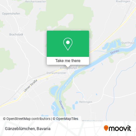Gänzeblümchen map