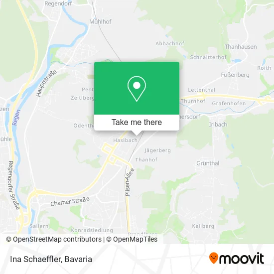 Карта Ina Schaeffler