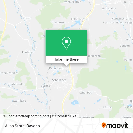 Карта Alina Store