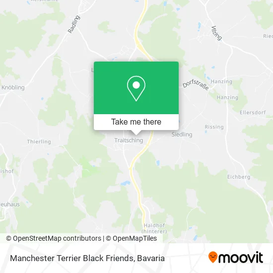 Карта Manchester Terrier Black Friends