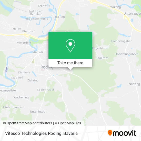 Vitesco Technologies Roding map