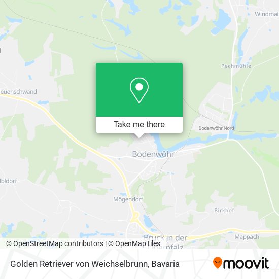 Golden Retriever von Weichselbrunn map