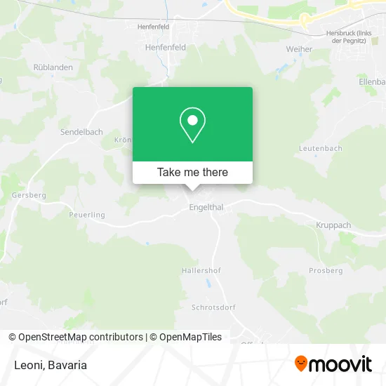 Карта Leoni