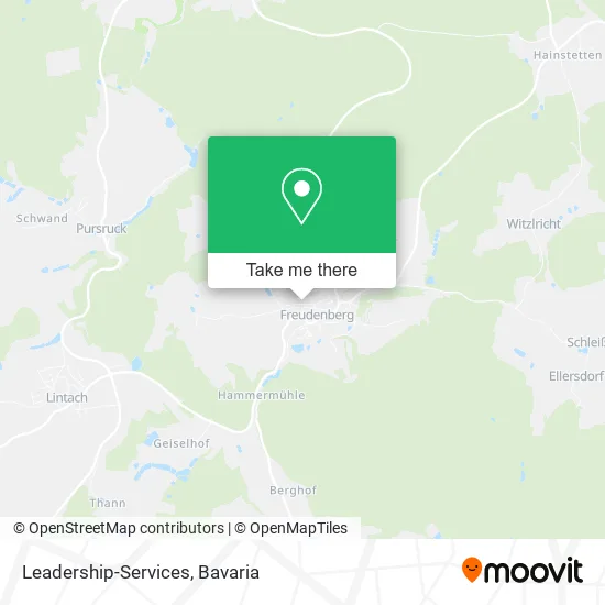Карта Leadership-Services