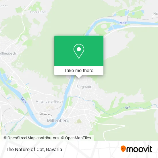 Карта The Nature of Cat