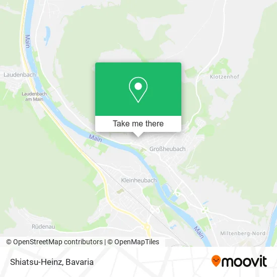 Карта Shiatsu-Heinz