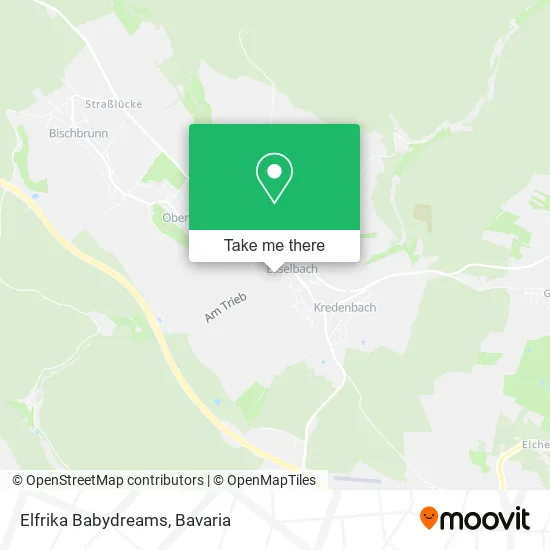 Карта Elfrika Babydreams