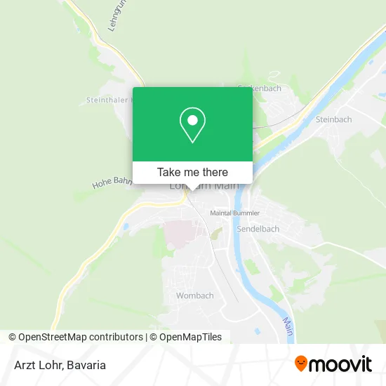 Карта Arzt Lohr