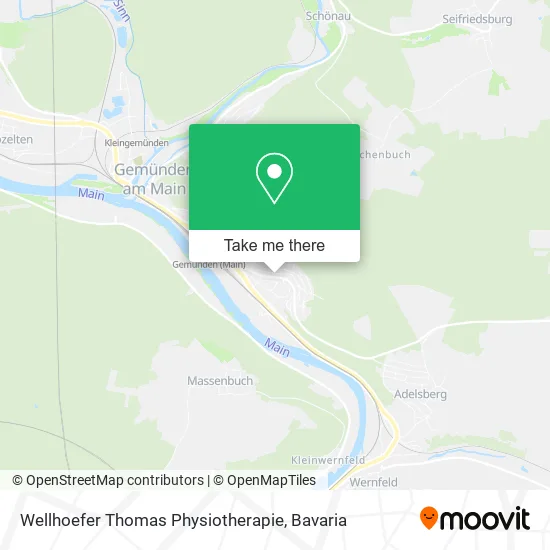 Карта Wellhoefer Thomas Physiotherapie