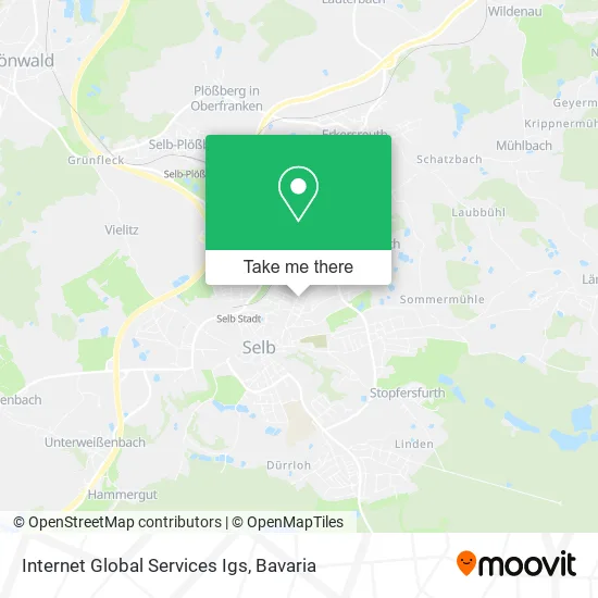 Карта Internet Global Services Igs