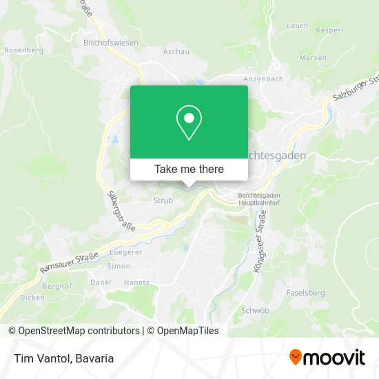 Карта Tim Vantol