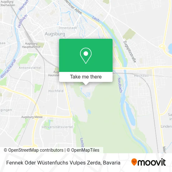 Карта Fennek Oder Wüstenfuchs Vulpes Zerda
